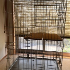 キャットゲージ