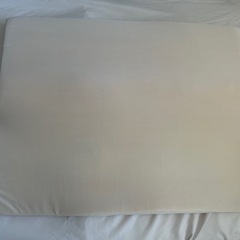 トゥルースリーパー　枕
