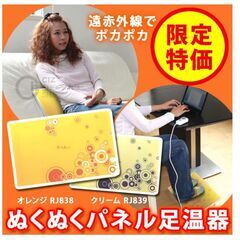 冬 足元が温まる 冷え性に　遠赤外線で足元ポカポカ！  ぬくぬくパネル足温器の画像