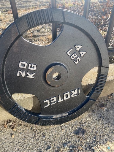 筋トレ プレート 20kg  
