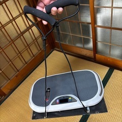 美品✨3D振動マシン　エクササイズマシン　BALANCE WAVE バランスウェーブの画像