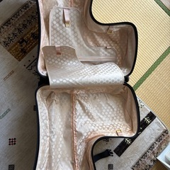 早め処分希望　美品　子どもが乗れるキャリーケースの画像