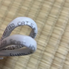 新品LANケーブル約40センチ カテゴリー5e（Cat 5e）の画像