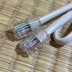 新品LANケーブル約40センチ カテゴリー5e（Cat 5e）の画像