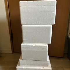 【2/18以降】発泡スチロール箱