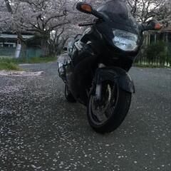 スーパーブラックバード