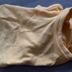 小型犬用服の画像
