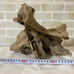 ③ 流木 天然木 アクアリウム 盆栽 熱帯魚 ADA