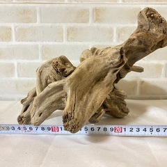 ③ 流木 天然木 アクアリウム 盆栽 熱帯魚 ADAの画像