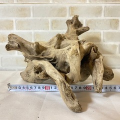 ③ 流木 天然木 アクアリウム 盆栽 熱帯魚 ADAの画像