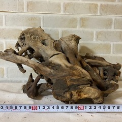 ⑥ 流木 天然木 アクアリウム 盆栽 熱帯魚 ADA