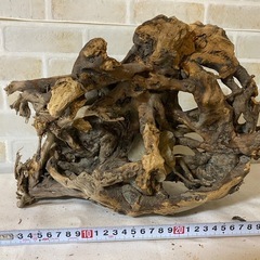 ⑥ 流木 天然木 アクアリウム 盆栽 熱帯魚 ADAの画像