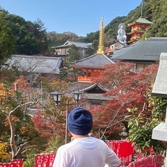 2月26日〜3月7日の間で沖縄の離島日帰りに興味のある方、フッ軽で海外旅行に興味のある方 - 那覇市