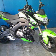KAWASAKI Z125プロ 緑 エンジン始動動画 自賠保険で...