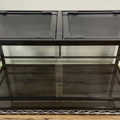 レプティワイルドの中古が安い！激安で譲ります・無料であげます