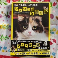 ⭐︎三毛猫⭐︎
