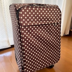 キャリーケース 機内持ち込み可能