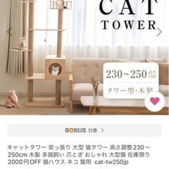 美品⭐︎キャットタワー突っ張り大型
