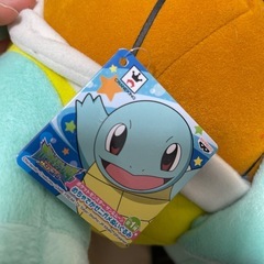 ゼニガメの画像