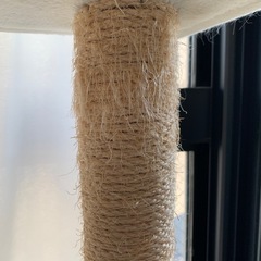 キャットタワーの画像