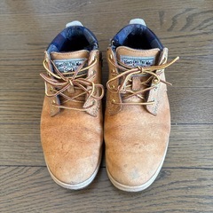 VANS靴