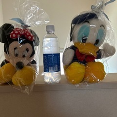 ディズニーランド ミニー ドナルド