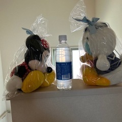 ディズニーランド ミニー ドナルドの画像