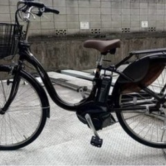 2023年購入　pas with
