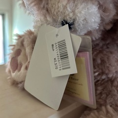 ディズニーシー ダッフィー シェリーメイの画像