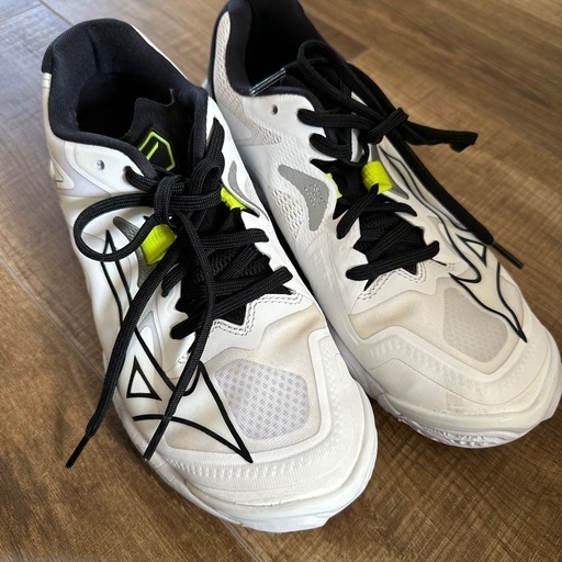 バレーボール靴　24.5