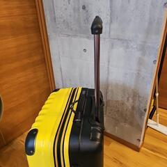 キャリーバッグの画像