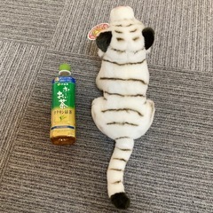 【新品・タグ付き】群馬サファリパーク ★ ホワイトタイガー ぬいぐるみ 人気の画像