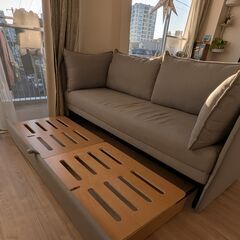 コアラソファーベッド「BOXY」の画像
