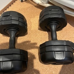 プラスチックダンベル10キロ