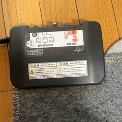 二畳用ホットカーペット　　の画像