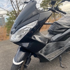 PCX125  JF-56の画像