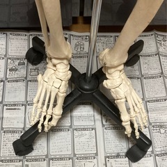全身骨格模型160cm位（台座付き）の画像
