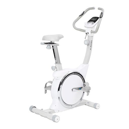 アルインコ 未開封 未使用 エアロマグネティックバイク エアロバイク AFB5219