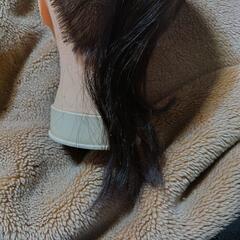 マネキンヘッド　レジ―ナ　散髪　美容　理容器具の画像