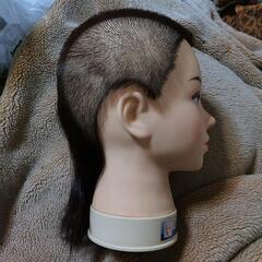 マネキンヘッド　レジ―ナ　散髪　美容　理容器具の画像