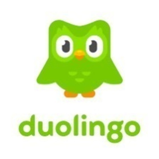 【取引確定】Duolingo Max ファミリープラン 年間 ２名様分