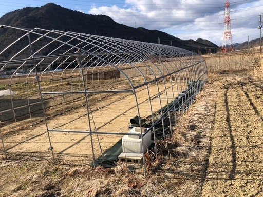 ビニールハウスの骨組み