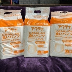 紙パンツ L