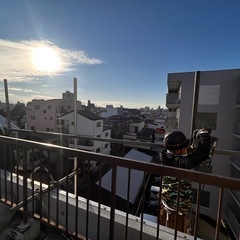 これから共に成長出来る仲間募集中😁の画像