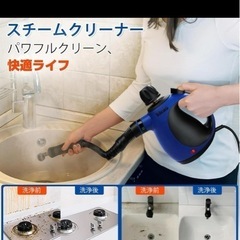スチームクリーナー ハンディ 10ピースのアクセサリーセット 加圧スチーム洗浄機多目的および多面すべての自然で化学薬品を使用しない家庭、キッチン、自動車、用スチームクリーニング、カーペット 除菌 掃除 年末清掃 の画像