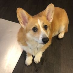 とても優しくて穏やかな性格の男の子