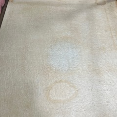 フランス人形の画像