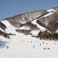 スキーを一緒に滑りませんか？　尾瀬岩鞍