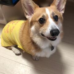 元気いっぱいな男の子
