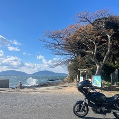 バリオス1型